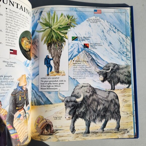 Nature Earth Facts Trivia Hardcover Book Usborne Highest, Longest, Deepest - Picture 7 of 12